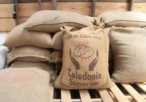 Jute-Sacking-bags